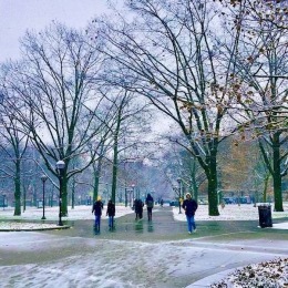 people walking outside in a snow covered park