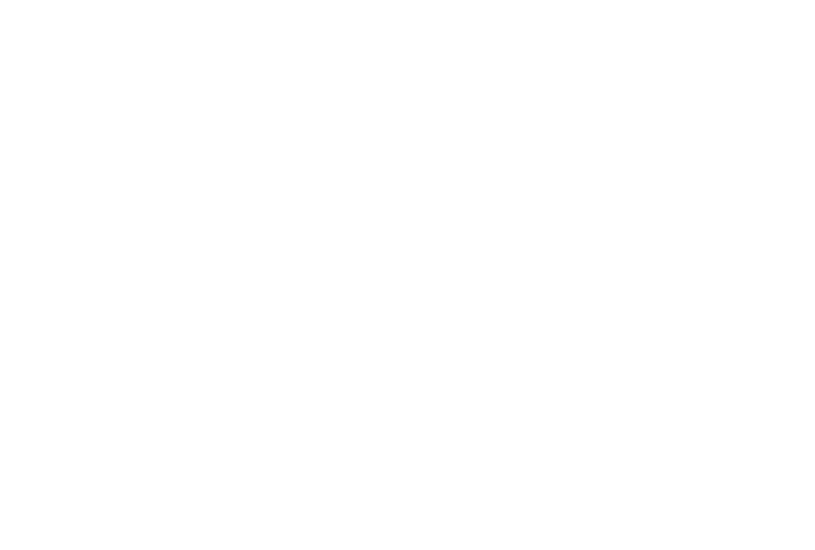 Varsity Ann Arbor Logo