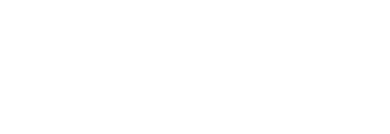 Varsity Ann Arbor Logo